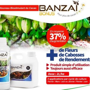 Biostimulant foliaire BANZAI BONUS 5 litres – Cacao