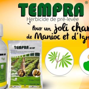 Herbicide liquide sélectif de pré-levée TEMPRA 800 SG 500 ml – Manioc
