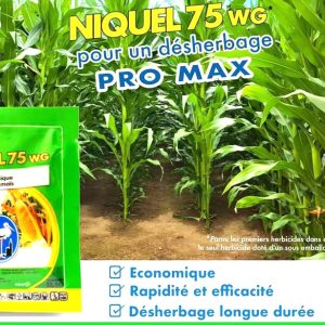 Herbicide granulé sélectif de post-levée du maïs NIQUEL 75 WG 12,5 gr