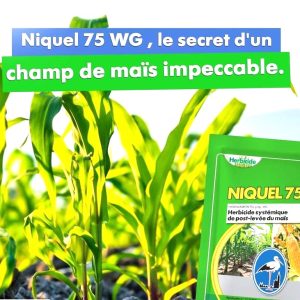 Herbicide granulé sélectif de post-levée du maïs NIQUEL 75 WG 12,5 gr