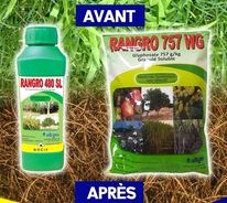 Herbicide liquide total RANGRO 480 SL 1 litre – Toutes les cultures