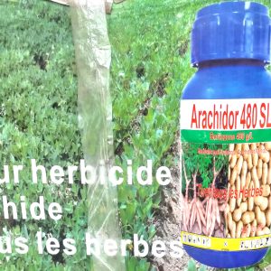 Herbicide liquide sélectif de post-levée ARACHIDOR 480 SL 200 ml – Arachide, soja