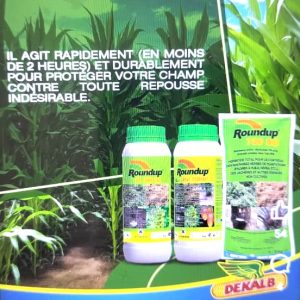Herbicide liquide non sélectif ROUNDUP 450 TURBO SL 1 litre – Maïs, banane, hévéa, jachère