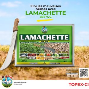 Herbicide granulé total LAMACHETTE 888 WG 1 kg – Toutes les cultures