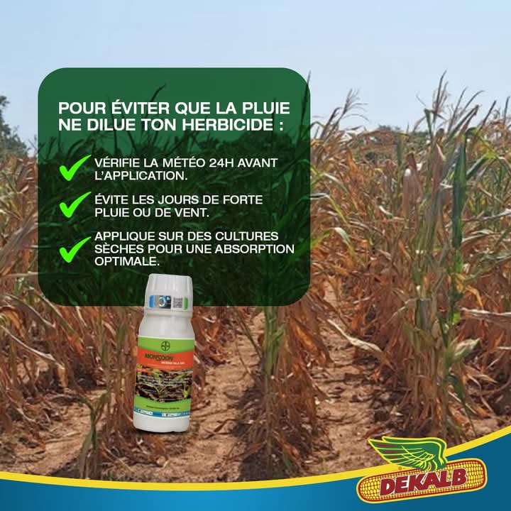 Herbicide liquide sélectif de pré-levé MERLIN COMBI 575 SC 250 ml – Mais