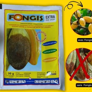 Fongicide granulé FONGIS EXTRA 66 WP 50 gr – Spécial cacao