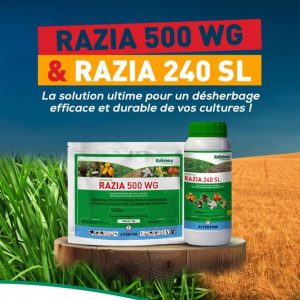 Herbicide liquide total RAZIA 240 SL 1 litre – Toutes les cultures