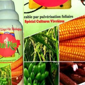 Engrais foliaire biologique VITAL PLUS 1 litre – Cultures vivrières