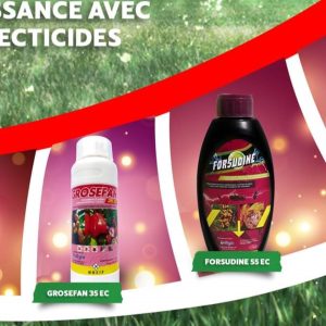 Insecticide liquide GROSEFAN 35 EC 500 ml – Cacao, anacarde