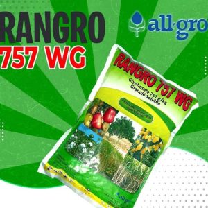 Herbicide granulé non-sélectif RANGRO 757 WG 1 kg – Toutes les cultures