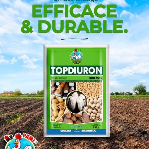 Herbicide granulé sélectif de pré-levée TOPDIURON 800 WG 250 gr – Céréales, manioc, igname, coton