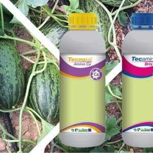 Engrais foliaire Bio-organique TECAMIN BRIX 1 litre – Cultures maraichères et pérennes, arbres fruitiers, agrumes