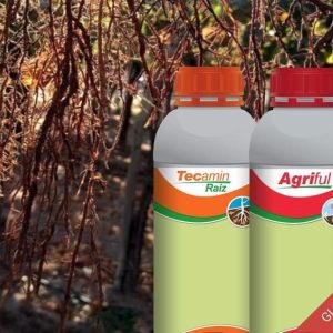 Engrais foliaire Bio-organique AGRIFUL 1 litre – Toutes les cultures