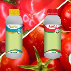 Engrais foliaire Bio-organique TECNOKEL AMINO CaB 1 litre – Cultures maraichères