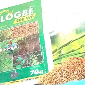 Herbicide granulé sélectif de post-levée MALOGBE 200 WP 70 gr – Riz