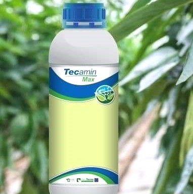 Engrais foliaire 100% Bio-organique TECAMIN MAX 1 litre – Toutes les cultures