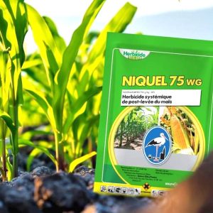 Herbicide granulé sélectif de post-levée du maïs NIQUEL 75 WG 12,5 gr