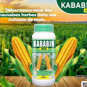 Herbicide liquide sélectif KABABIN 40 SC 1 litre – Maïs