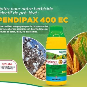 Herbicide liquide sélectif de pré-levée PENDIPAX 400 EC 800 ml – Coton, arachide, maïs, riz