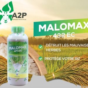 Herbicide liquide sélectif de post-levée MALOMAX 432 EC 1 litre – Riz irrigué, riz de bas – fonds, riz pluvial