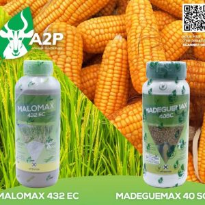 Herbicide liquide sélectif de post-levée MALOMAX 432 EC 1 litre – Riz irrigué, riz de bas – fonds, riz pluvial