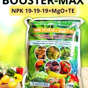 Engrais granulé soluble BOOSTER-MAX 19.19.19 1 kg – Toutes les cultures