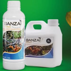 Biostimulant liquide BANZAI BONUS 5 litres – Spécial cacao