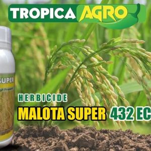 Herbicide liquide sélectif de post-levée MALOTA SUPER 432 EC 1 litre – Maïs, riz, mil, sorgho, blé.