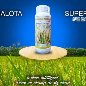 Herbicide liquide sélectif de post-levée MALOTA SUPER 432 EC 1 litre – Maïs, riz, mil, sorgho, blé.