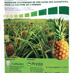Herbicide granulé sélectif de pré-levée AMPA 30 WP 1 kg – Ananas