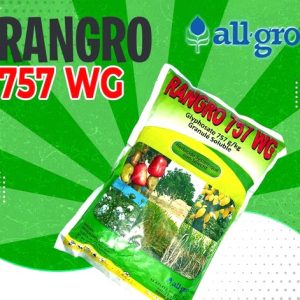 Herbicide granulé non-sélectif RANGRO 757 WG 1 kg – Toutes les cultures