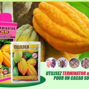 Fongicide granulé OBAMA 660 WP 50 gr – Spécial cacao