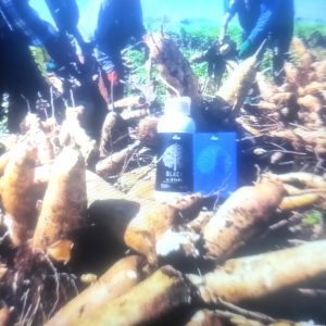 Engrais poudre Bio 100% naturel 4TREE 5 gr – Arachide, céréales