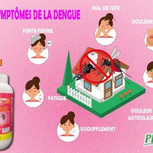 Insecticide liquide VICTOIRE 25 SC 250 ml – Hygiène publique, domicile, bureau