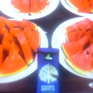 Engrais poudre Bio 100% naturel 4THEE 5 gr – Pastèque