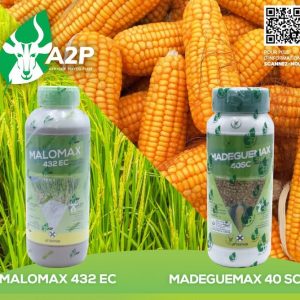 Herbicide liquide sélectif de post-levée MADEGUEMAX 40 SC 1 litre – Céréale