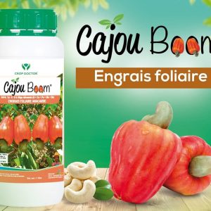 Engrais foliaire CAJOU BOOM 1 litre – Spécial anacarde