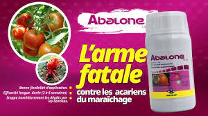 Acaricide liquide ABALONE 18 EC 200 ml – Cultures maraichères