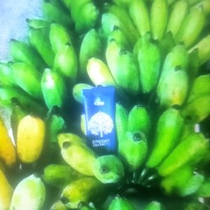 Engrais poudre Bio 100% naturel 4TREE 5 gr – Banane