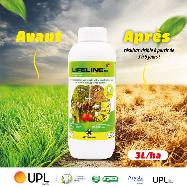Herbicide liquide non sélectif LIFELINE 280 EC 1 litre – Toutes les cultures
