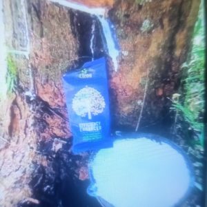 Engrais poudre Bio 100% naturel 4TREE 5 gr – Hévéa