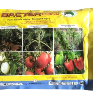 Fongicide et bactéricide granulé BACTER 660 WP 500 gr – Cultures maraichères
