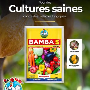 Fongicide granulé BAMBA S 750 WP 1 kg – Cultures vivrières et maraichères