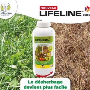 Herbicide liquide non sélectif LIFELINE 280 EC 1 litre – Toutes les cultures