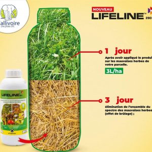 Herbicide liquide non sélectif LIFELINE 280 EC 1 litre – Toutes les cultures