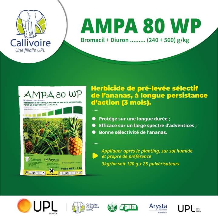 Herbicide granulé sélectif de pré-levée AMPA 30 WP 1 kg – Ananas
