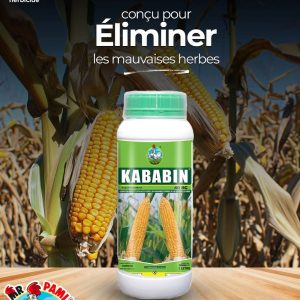 Herbicide liquide sélectif KABABIN 40 SC 1 litre – Spécial maïs