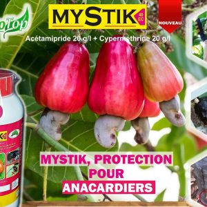 Insecticide liquide MYSTIK 40 EC 1 litre – Spécial anacardier