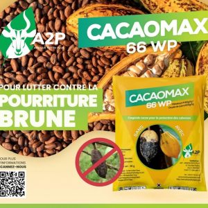 Fongicide granulé CACAOMAX 66 WP 50 gr – Spécial cacao