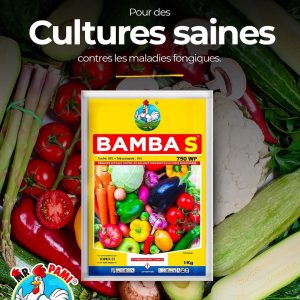 Fongicide granulé BAMBA S 750 WP 1 kg – Cultures vivrières et maraichères